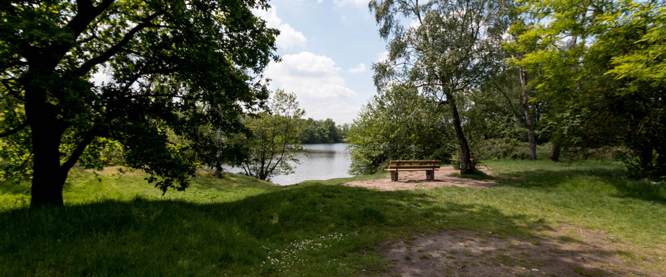Am Mobilheimplatz Entenfangsee steht eine Holzbank in der Nähe eines kleinen Sees, umgeben von grünen Bäumen und Gräsern, mit einem teilweise bewölkten Himmel über sich.