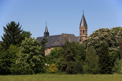 Eine Steinkirche mit zwei Kirchtürmen ist teilweise hinter hohen Bäumen und Grünpflanzen unter einem klaren blauen Himmel zu sehen.